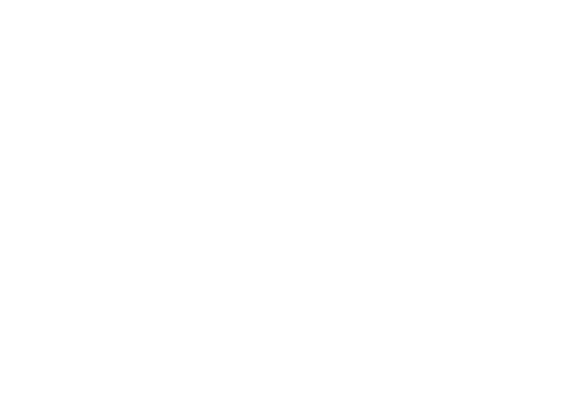 Social Icon